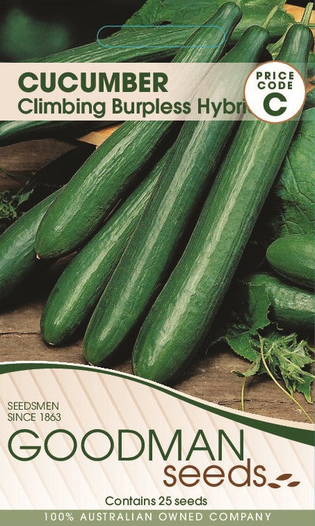 BURPLES.jpg_1