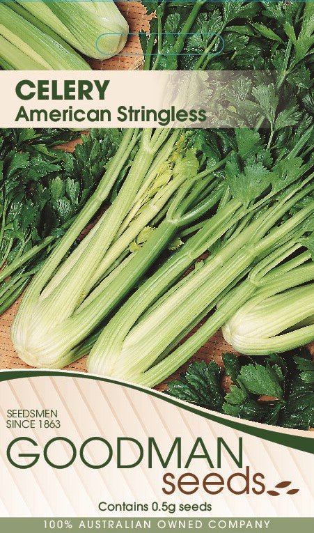 Celery American Stringless