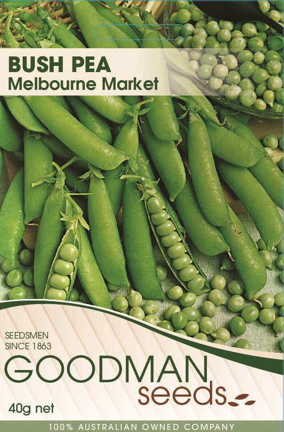 MELB.jpg_1