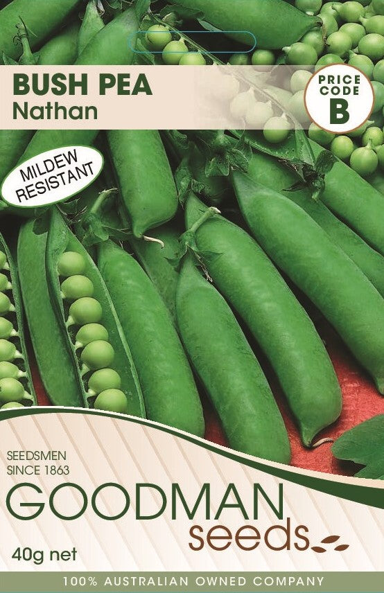 NATHAN.jpg_1