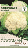 SNOWBALL.jpg_1