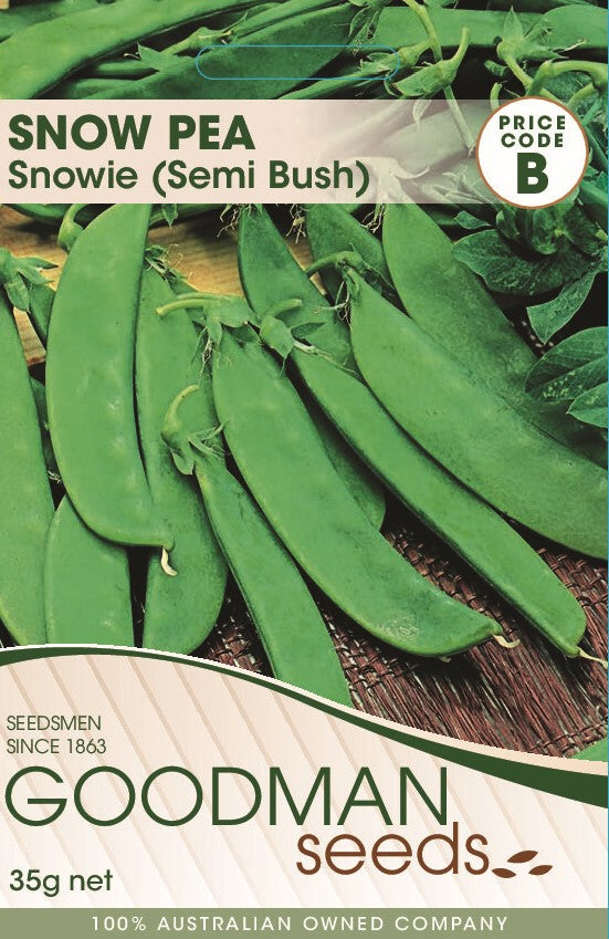 Snow Pea Snowie Semi Bush