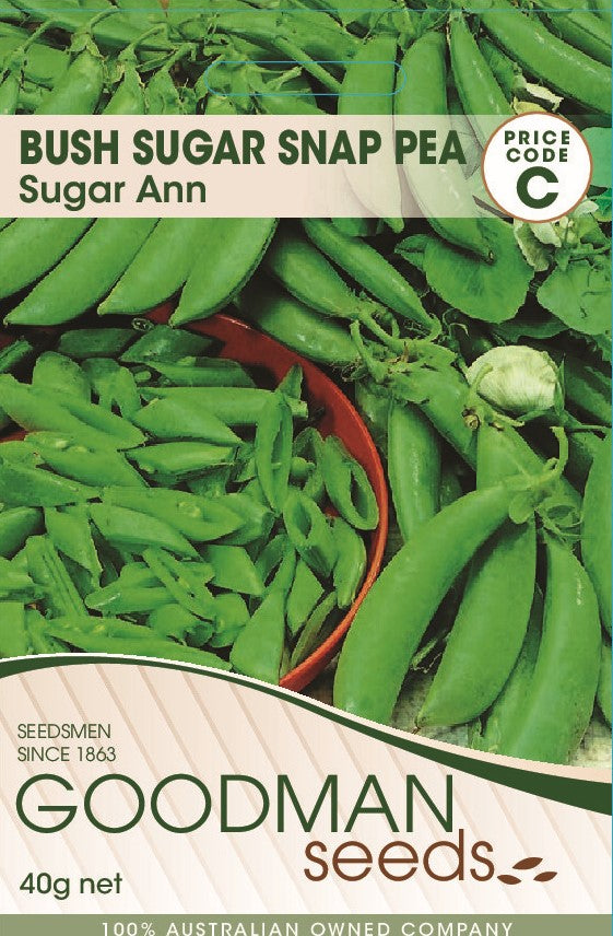 SUGARANN.jpg_1