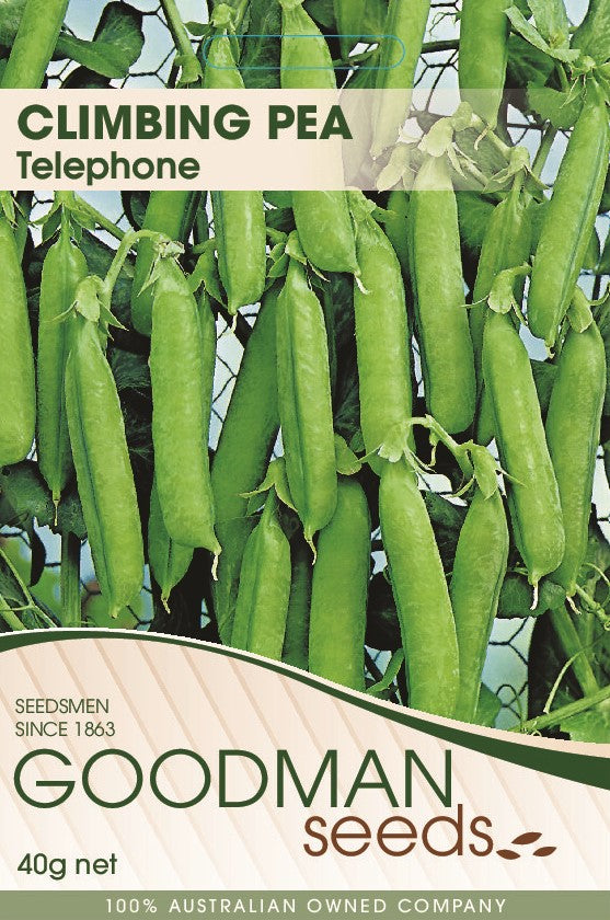 Telephone Climbing Pea