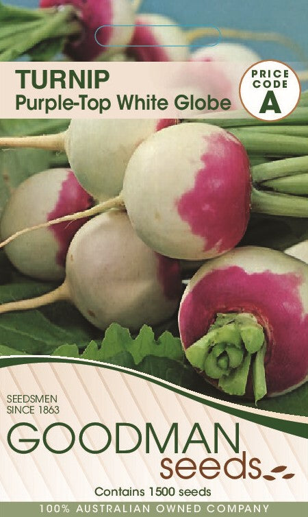Turnip Purple Top White Globe