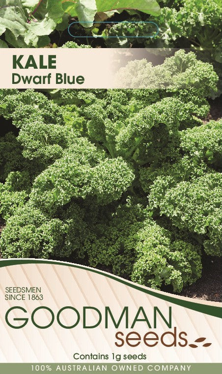 bluekale3.jpg_1