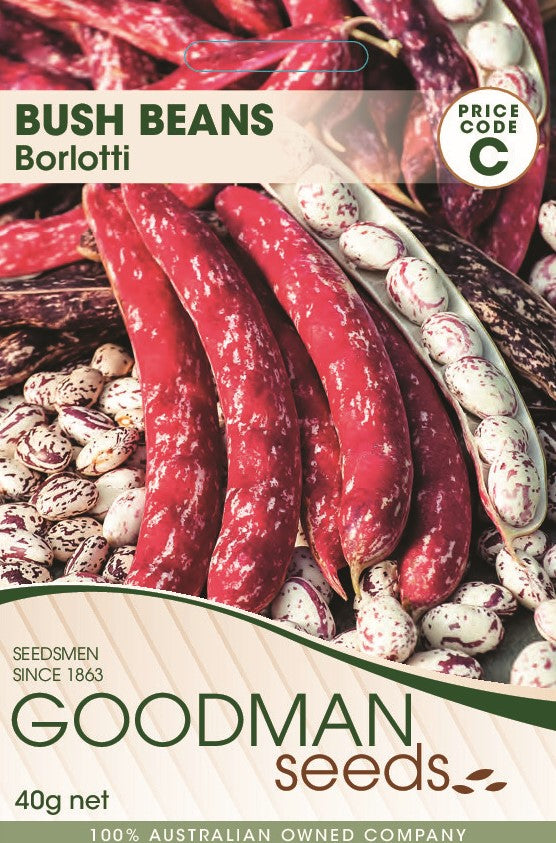 borlotti.jpg_1