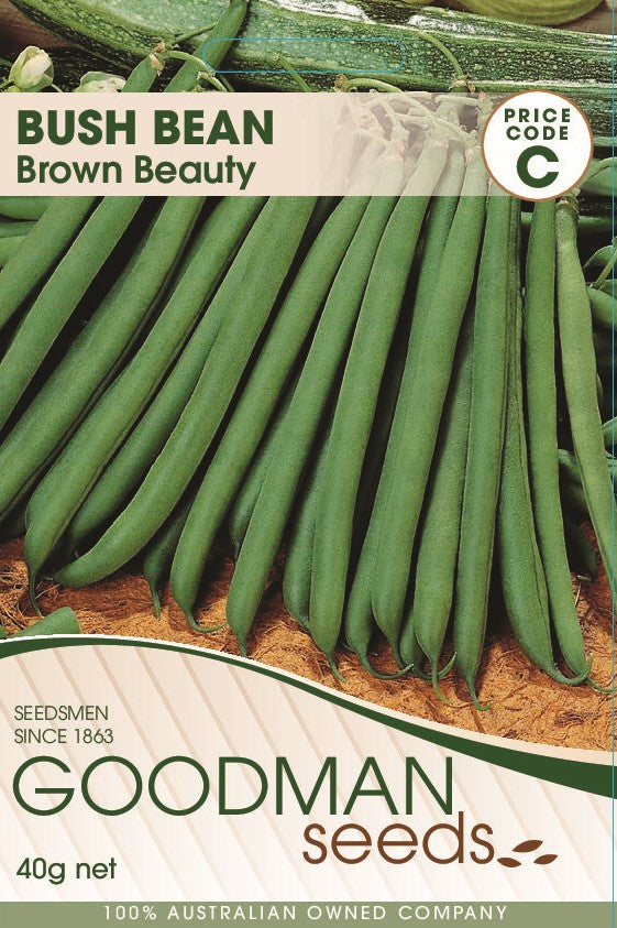 brownb6.jpg_1