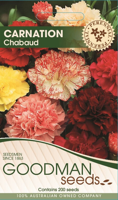 carnation.jpg_1
