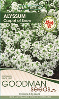 carpetofsnow.jpg_1