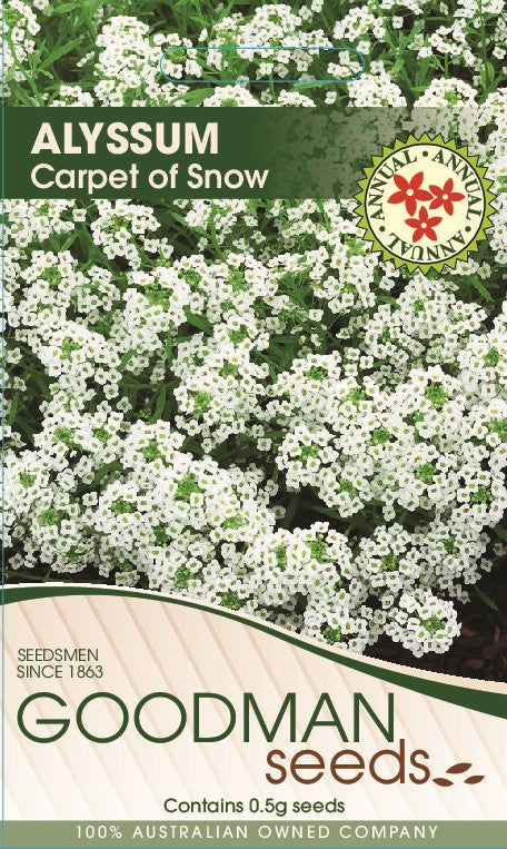 carpetofsnow.jpg_1