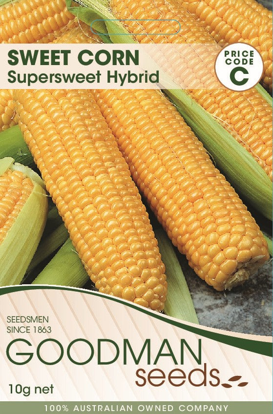 corn.jpg_1