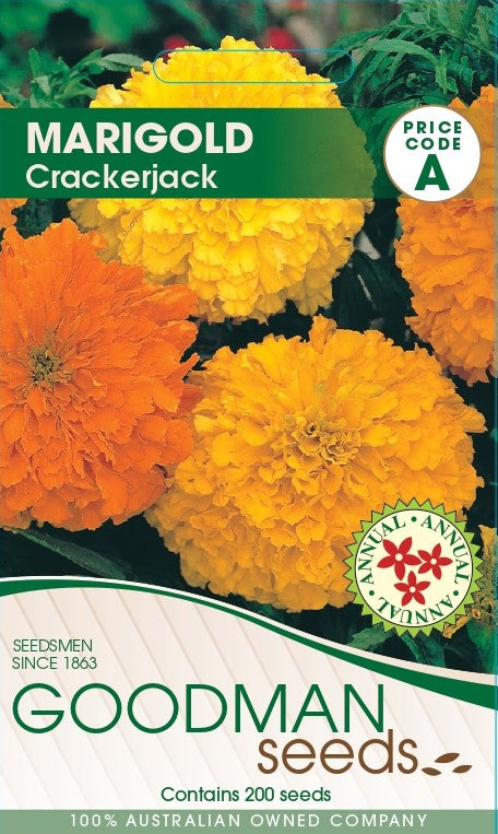 crackerjack.jpg_1
