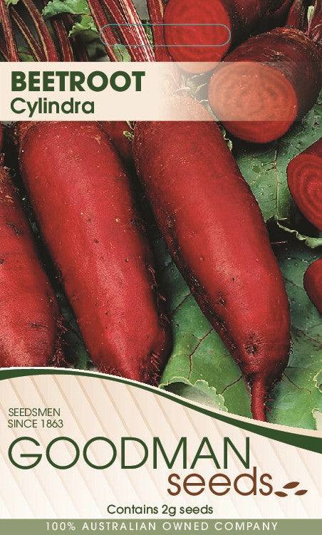 Beetroot Cylindra