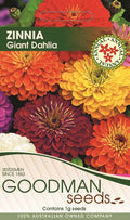 dahlia1.jpg_1