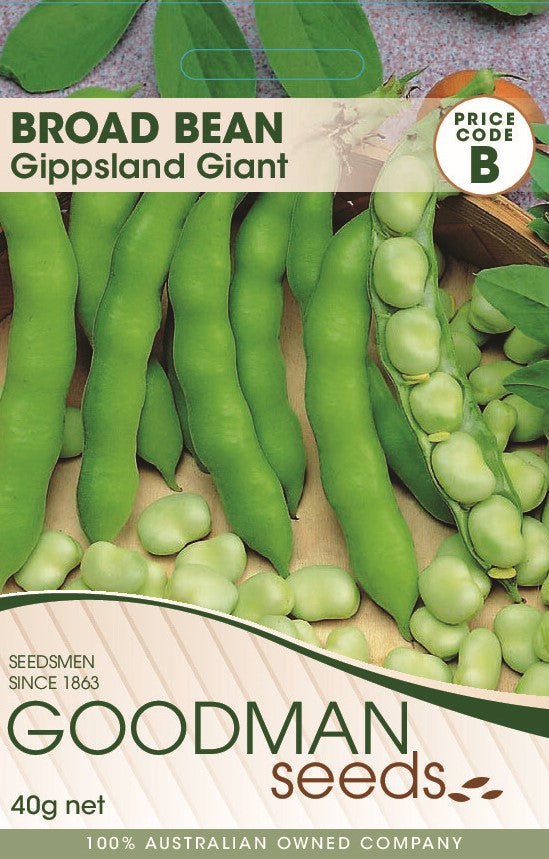 gippsgiant.jpg_1