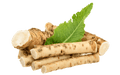 horseradish8.png