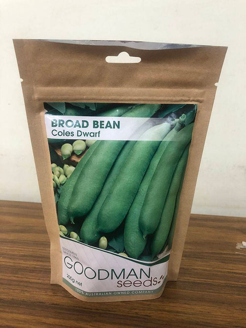 image3.jpeg