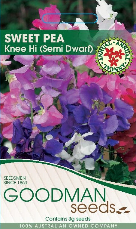 kneehi6.jpg_1