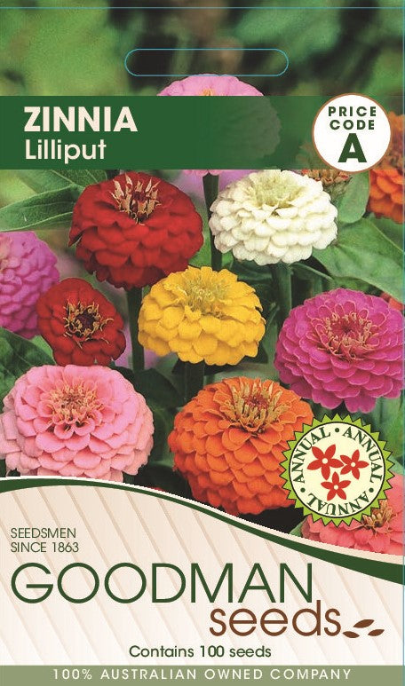 liliput.jpg_1