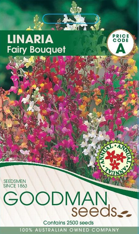 linaria.jpg_1