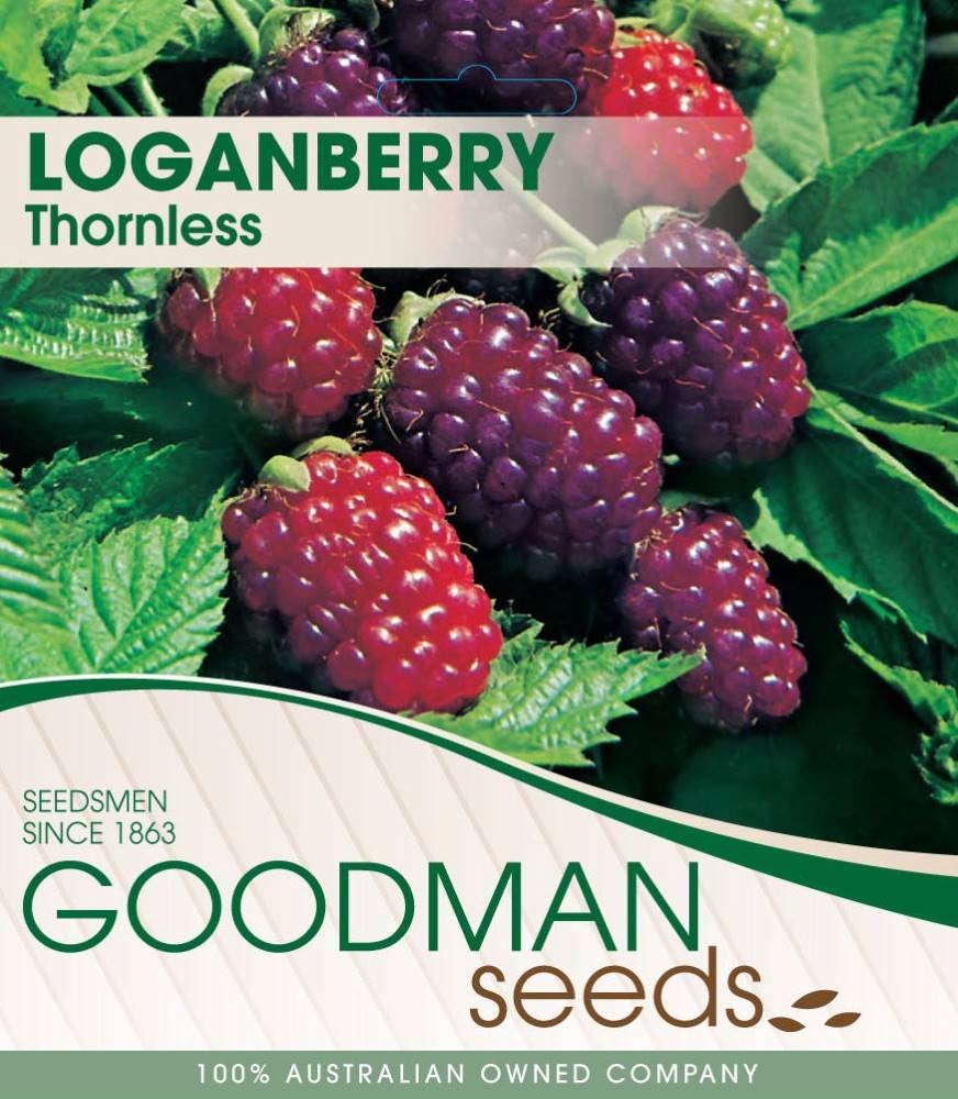 loganberries.jpeg_product_product