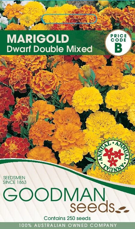 marigoldfrench.jpg_1
