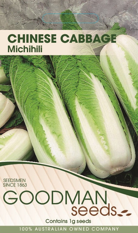 michilli.jpg_1