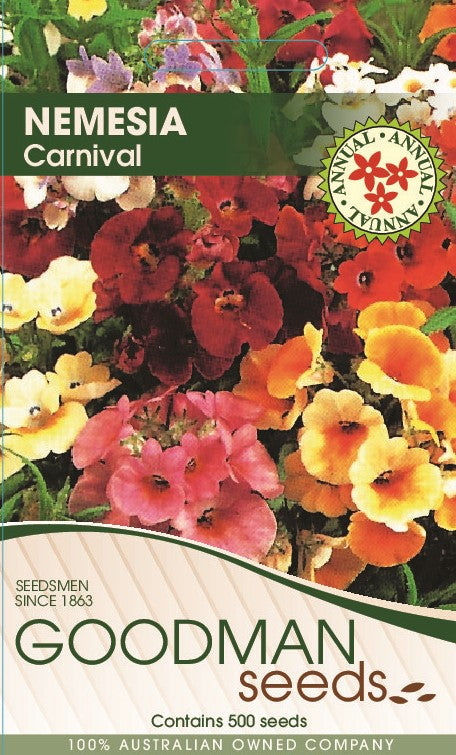 nemesia.jpg_1