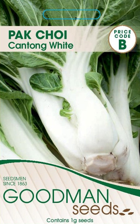 pakchoi5.jpg_1