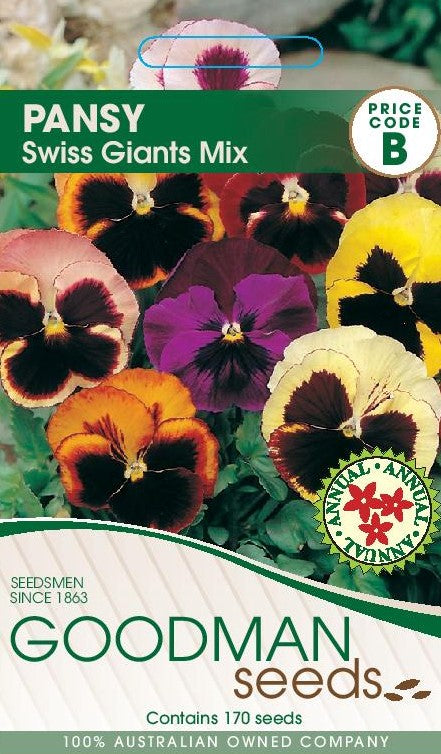 pansy.jpg_1