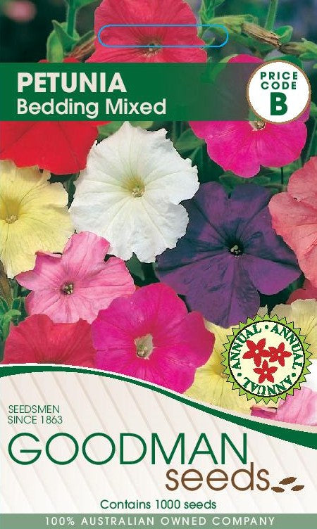 petunia.jpg_1