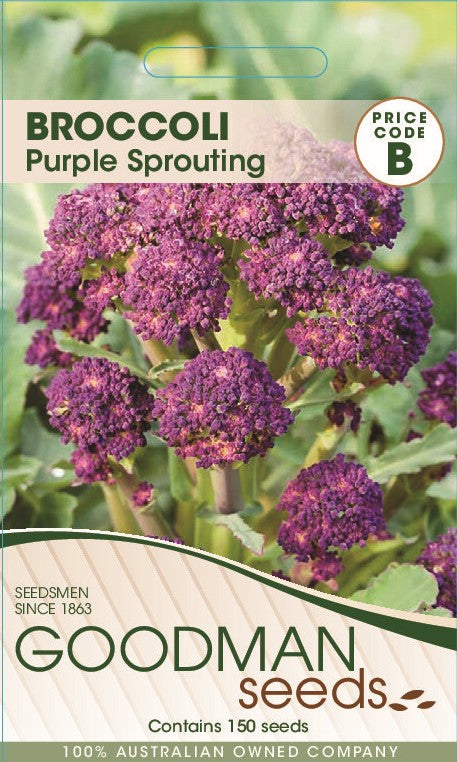 purpbroc.jpg_1