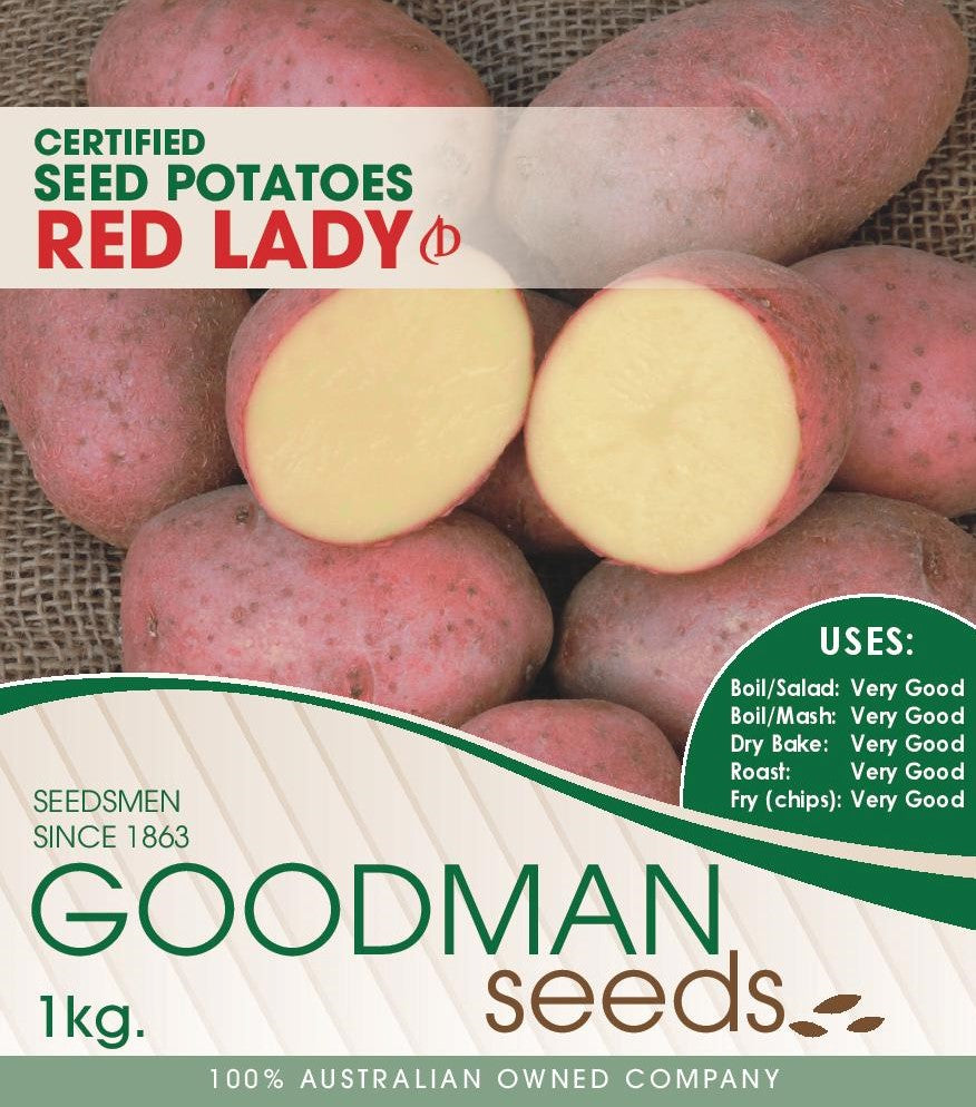 redlady.jpg