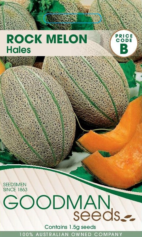 rockmelon.jpg_1