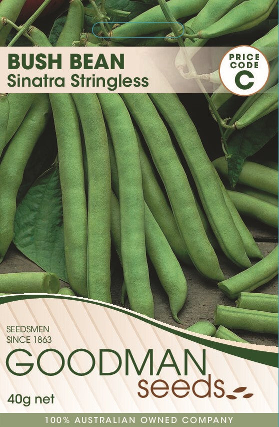sinatra9.jpg_1