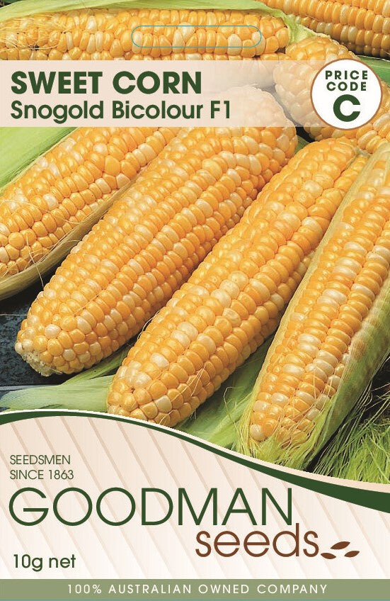 snogold4.jpg_1