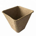 sqpot4.jpg_1