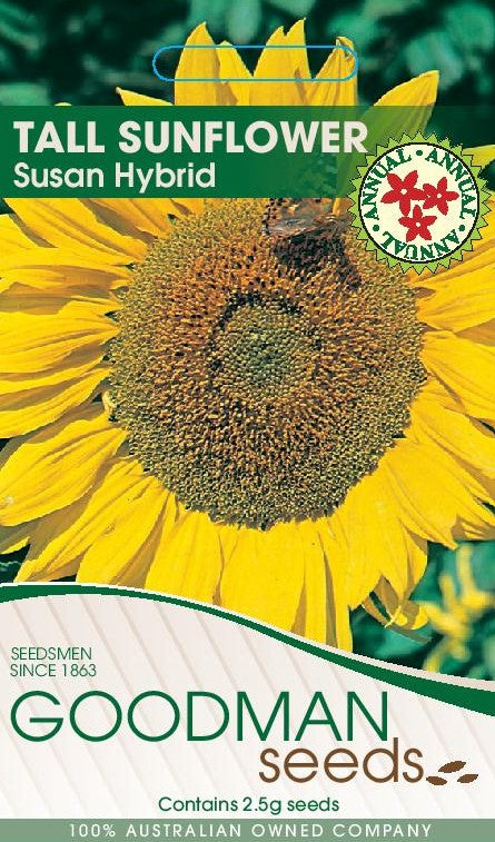 sunflowersusan.jpg_1