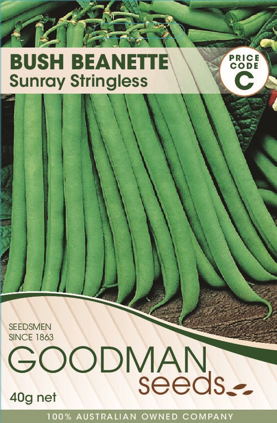 sunray1.jpg_1