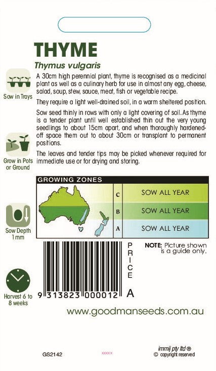 thyme2.jpg_1