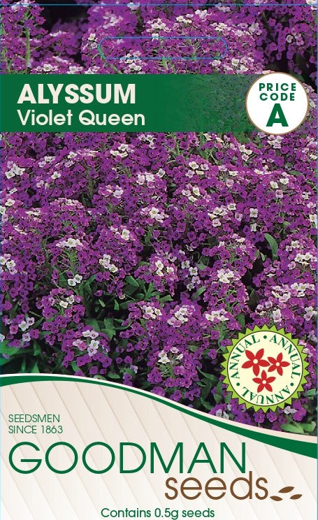 violetqueen.jpg_1