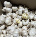 whitecrookneck8.jpeg_1