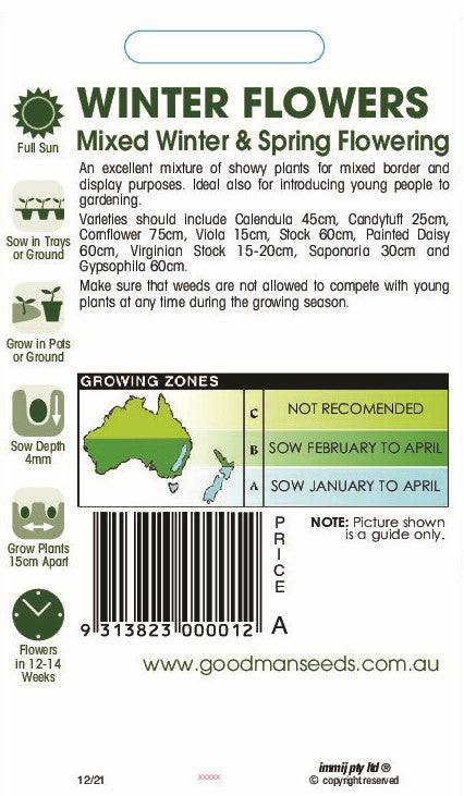 winter2.jpg_1