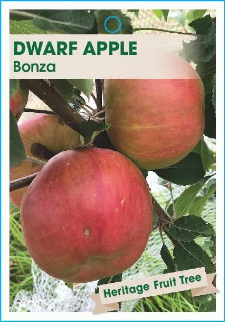 AppleBonza-page-001