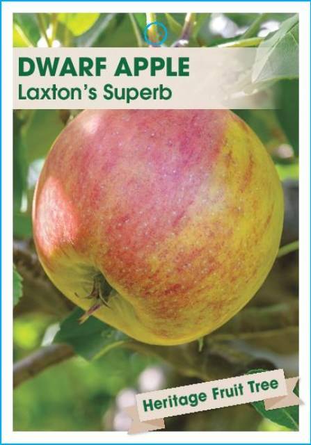 AppleLAXTONSSUPERB-page-001
