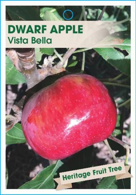 AppleVistaBella-page-001