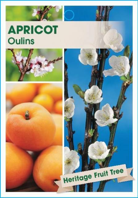 ApricotOulins-page-001