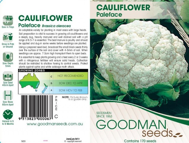 CauliflowerPaleface-page-001