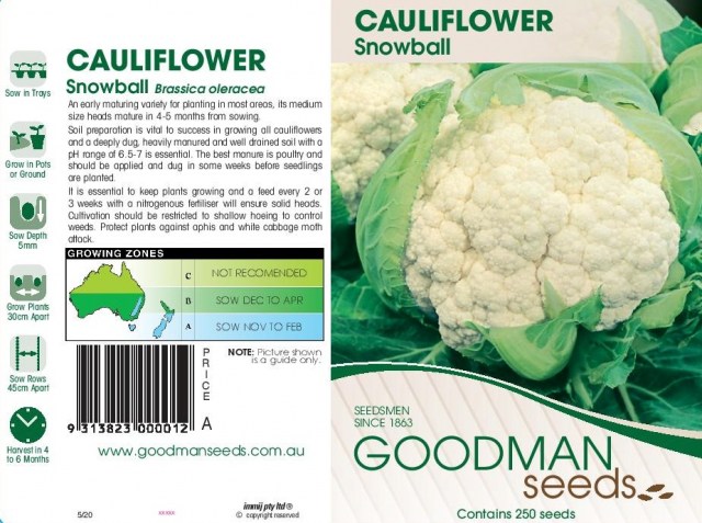 CauliflowerSnowball-page-001